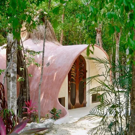 Room In Lodge - Eco-Luxe Mayan Dome Cenote