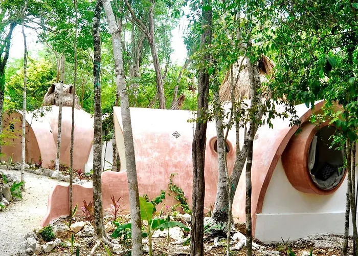 Unique Jungle Dome Kaa Lodge