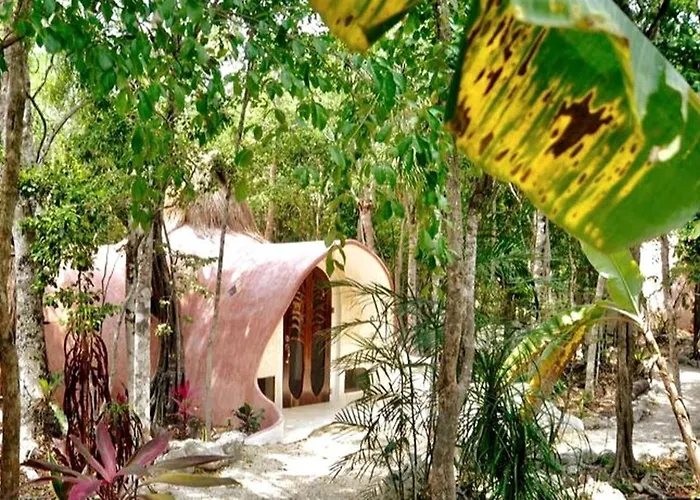 Unique Jungle Dome Kaa